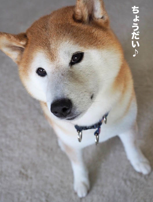 2日夜ブログ１
