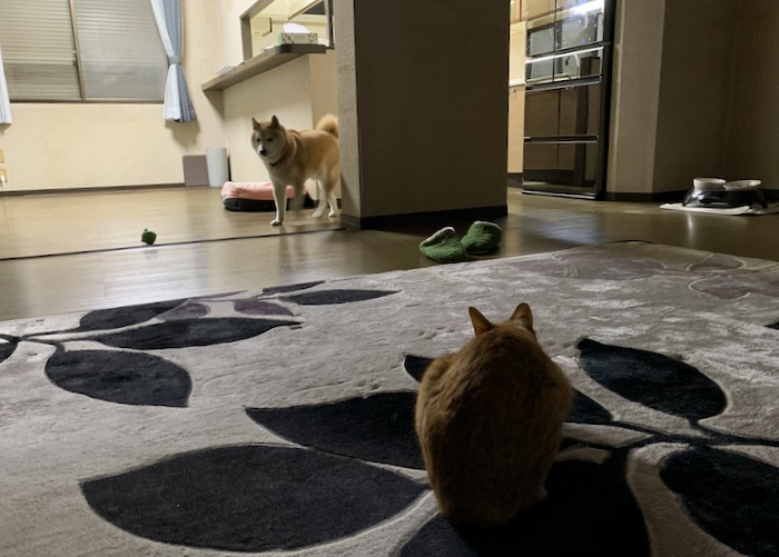 12日ブログ１
