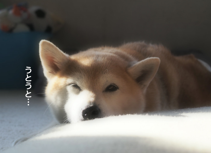 9日ブログ２