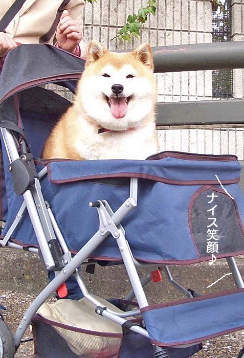 14日ブログ８