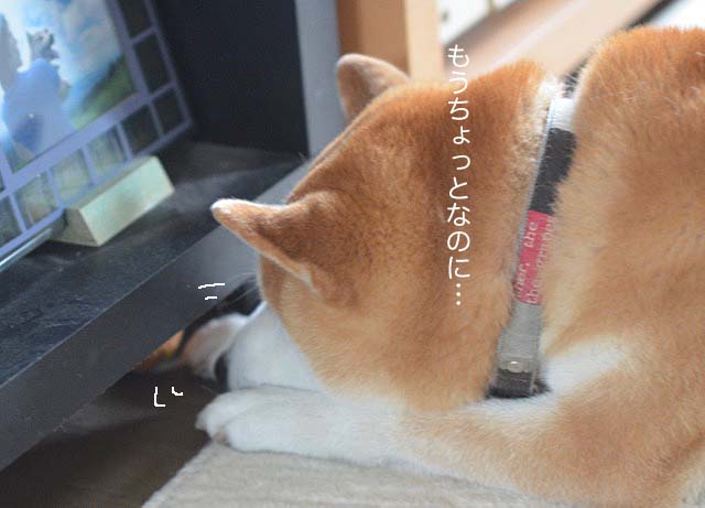 28日ブログ4