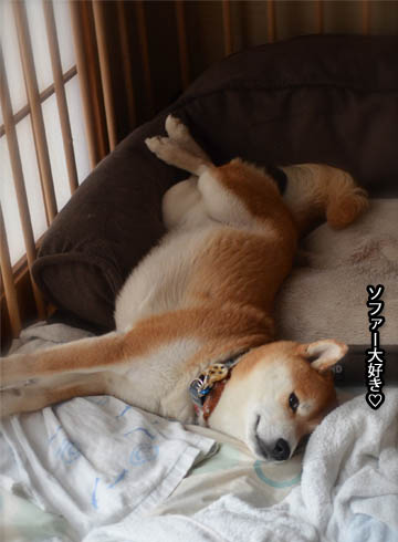20日ブログ10.jpg