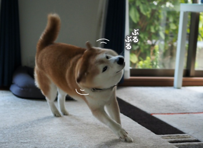 5日夕ブログ４