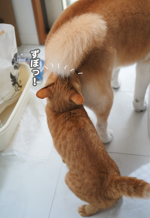 13日夕ブログ３