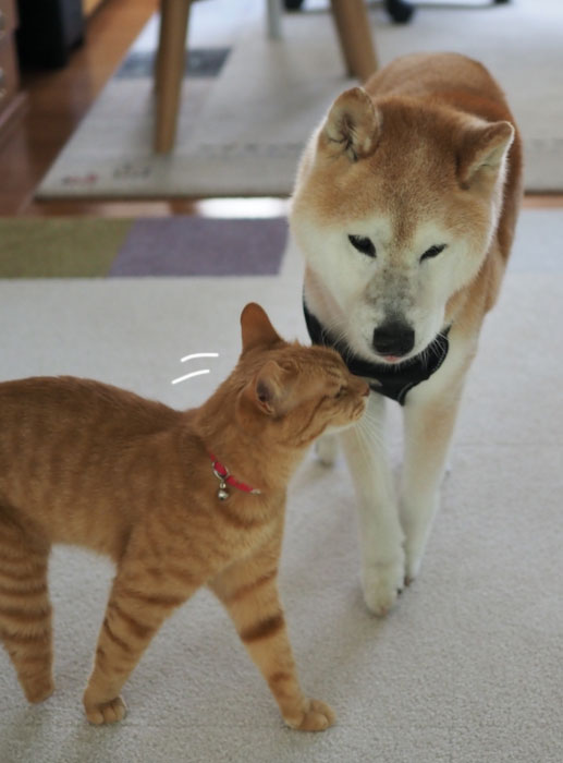 10日ブログ１