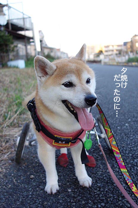 14日夜ブログ２