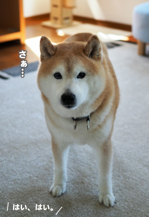 5日ブログ５