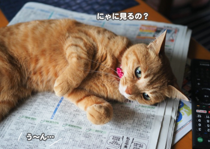 13日ブログ3