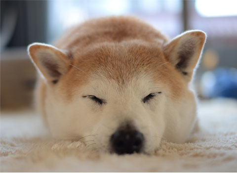 26日ブログ12.jpg