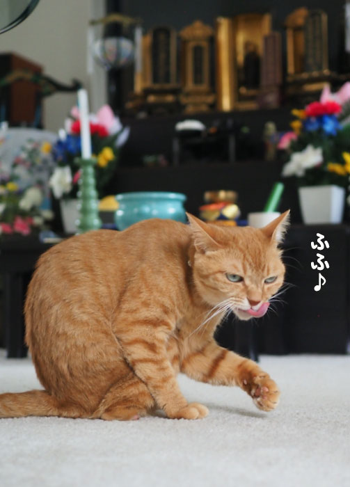 14日夕ブログ８