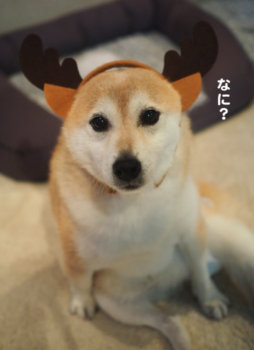 24日夜ブログ２
