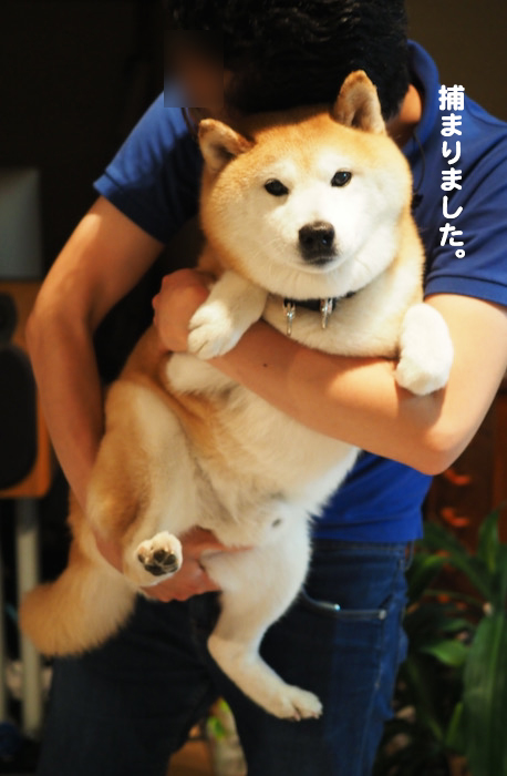 14日ブログ2