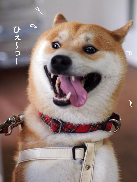 11日ブログ７