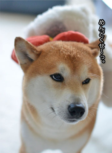31日ブログ5.jpg