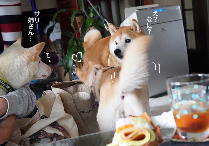 10日夜ブログ4