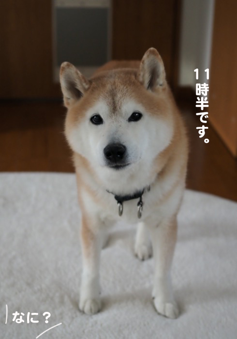 2日夕ブログ３