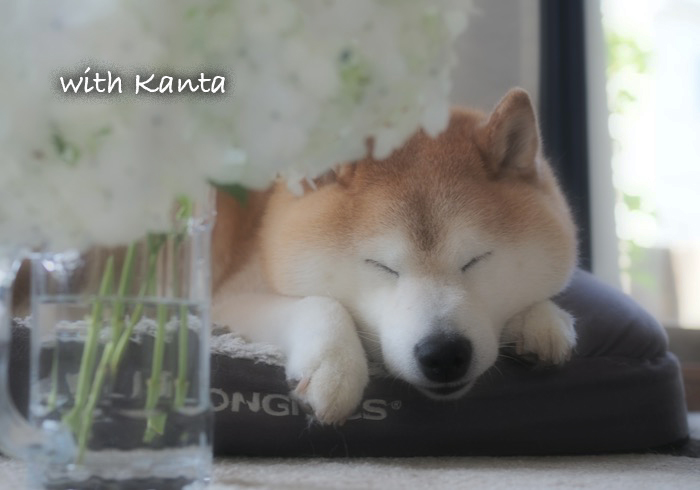 17日ブログ２