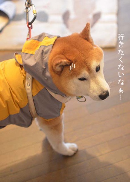 28日ブログ7