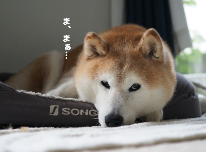 16日夕ブログ3
