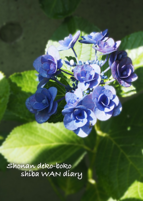 24日ブログ5
