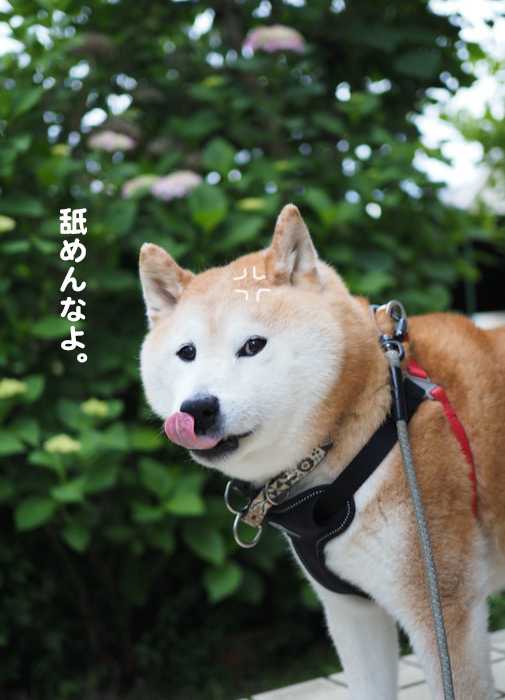 31日夕ブログ６