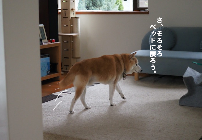 11日ブログ６