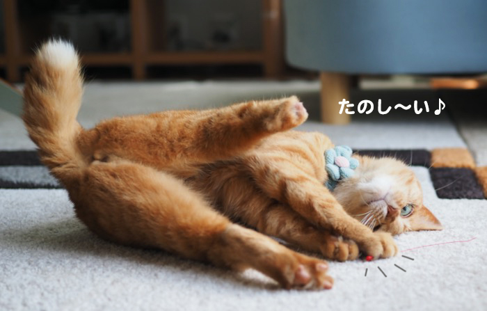 28日夕ブログ７