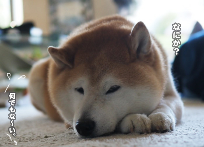 27日ブログ4