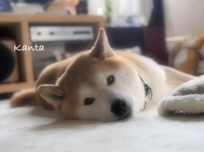 11日夜ブログ２
