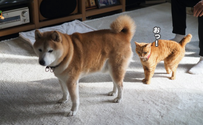 24日夕ブログ２