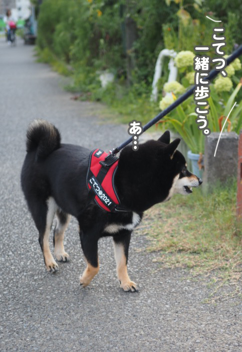 26日ブログ６