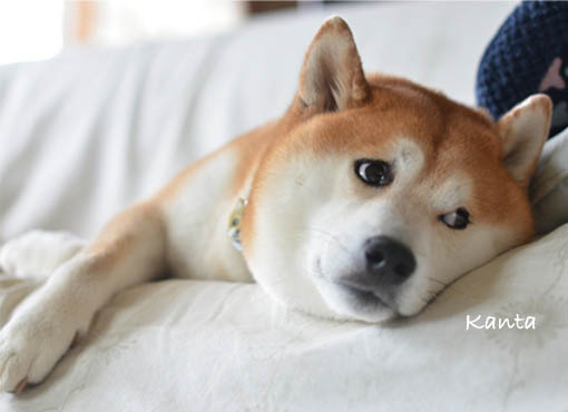 29日ブログ6.jpg