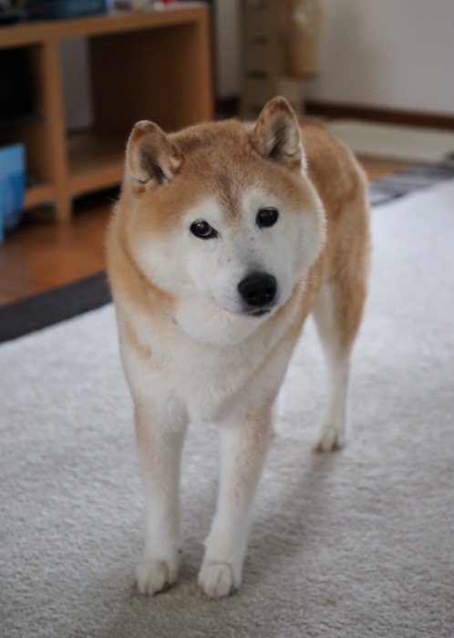 2日ブログ２
