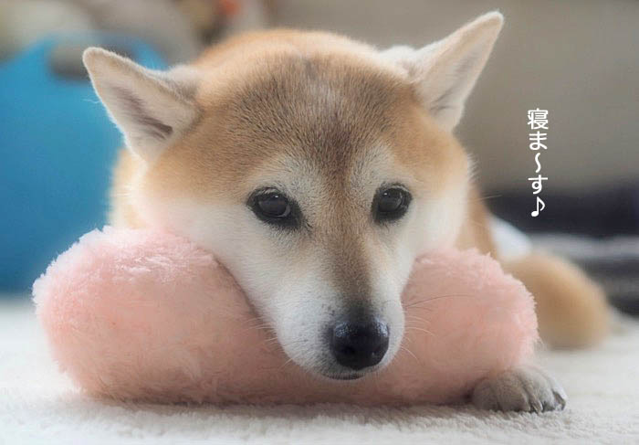 18日午後ブログ５