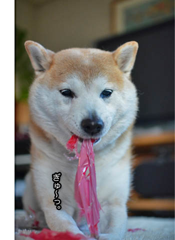 19日ブログ8.jpg