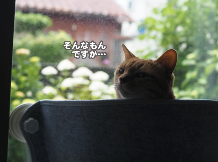 6日ブログ2