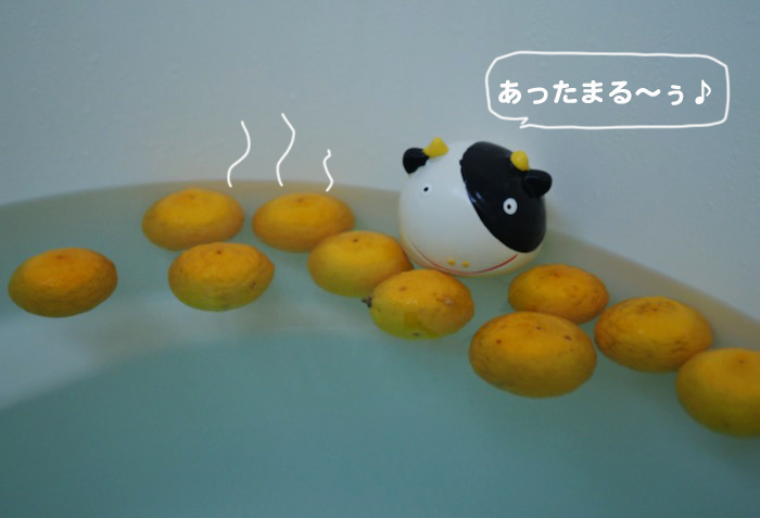 21日夕ブログ２