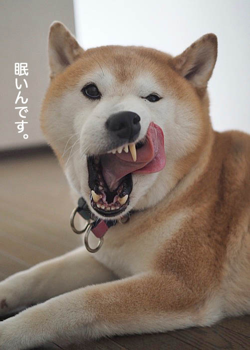 7日夜ブログ６