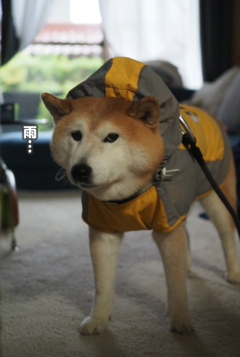 8日ブログ２