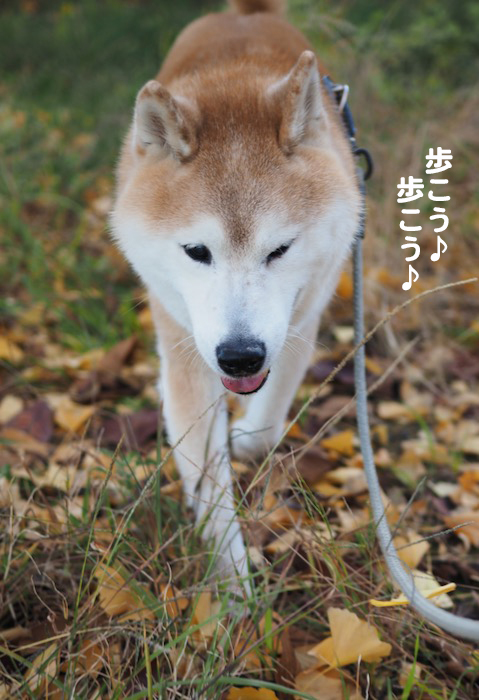 15日夕ブログ５