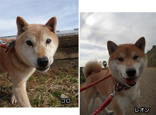 4日ブログ7.jpg