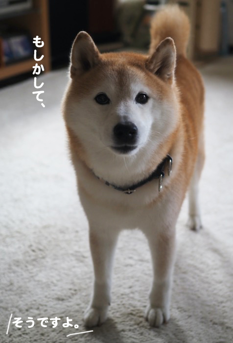 5日夕ブログ２