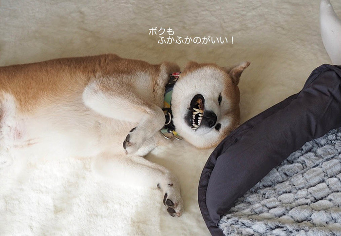 2日ブログ８