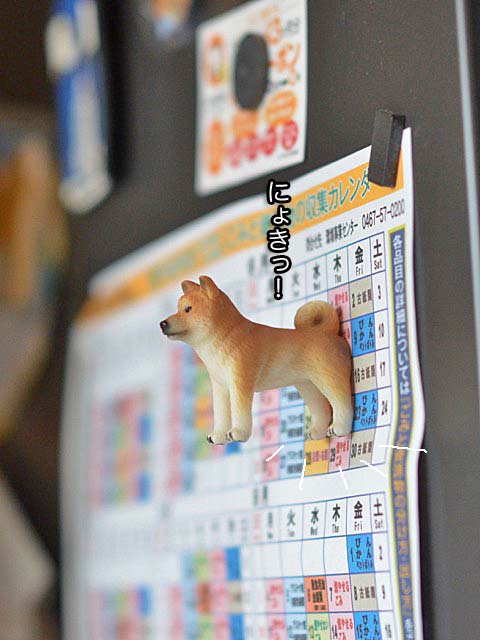 30日ブログ7