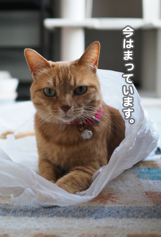25日夜ブログ２