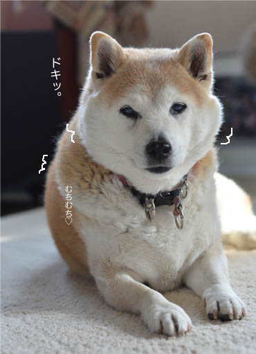 8日ブログ９.jpg