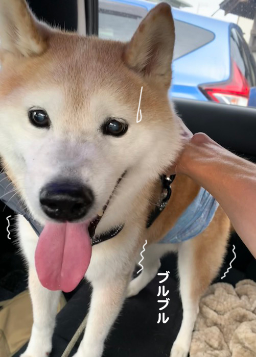 18日夕ブログ４