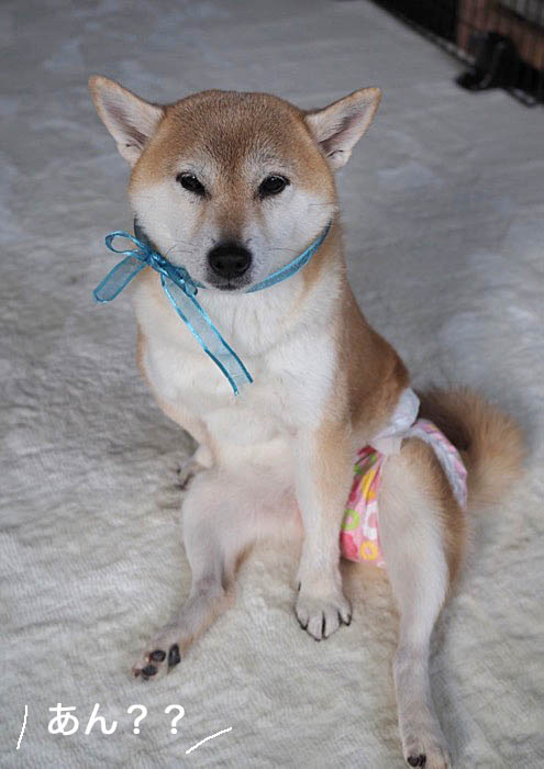 22日ブログ３