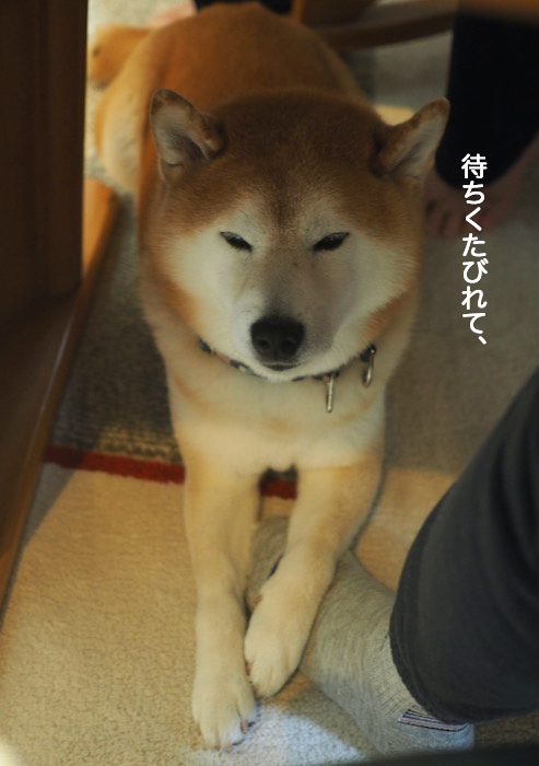 29日夜ブログ３