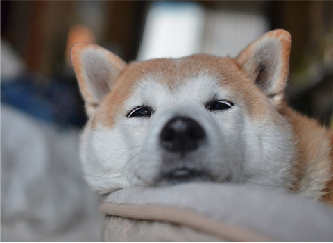 2日ブログ7.jpg